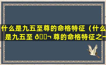 什么是九五至尊的命格特征（什么是九五至 🐬 尊的命格特征之一）